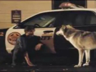 Watch Once Upon a Time - The Heart is a Lonely Hunter online part 1/4