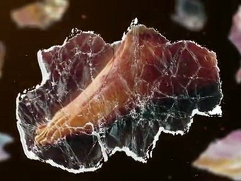 Street Fighter X Tekken (PS3) - Teaser Septembre 2011 #1