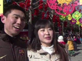Beijing's park festivals bring colour to Chinese New Year