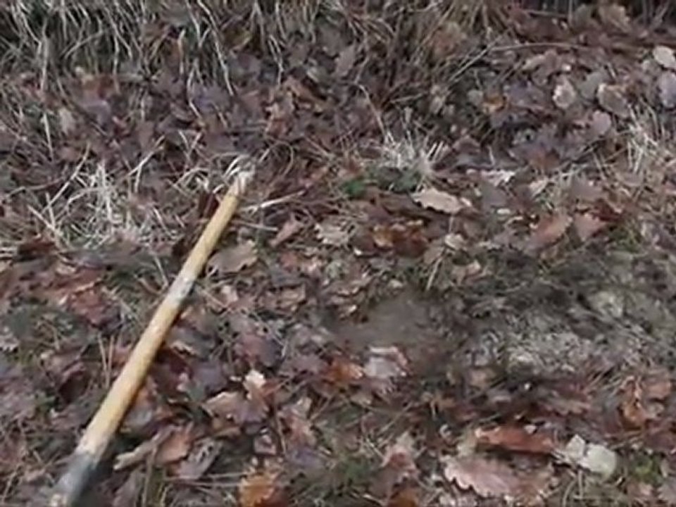 sortie du 22 janvier