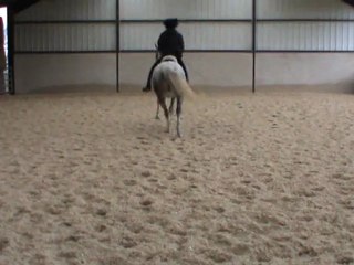 reculer départ galop g