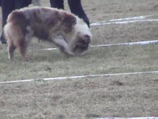 up to up cavage la rosiere