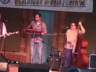 Un oiseau s'invite à un concert de Josh Williams
