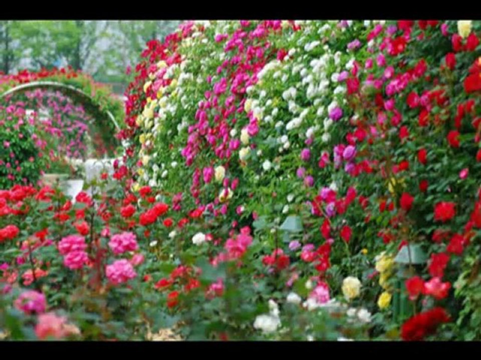 NADEGE COOL les plus belles photos