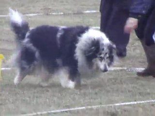 velvet cavage  la rosiere