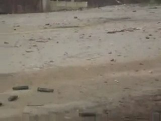 فري برس   الجيش الأسدي يبدأ بالانسحاب من محيط مدينة الزبداني 18 1 2012