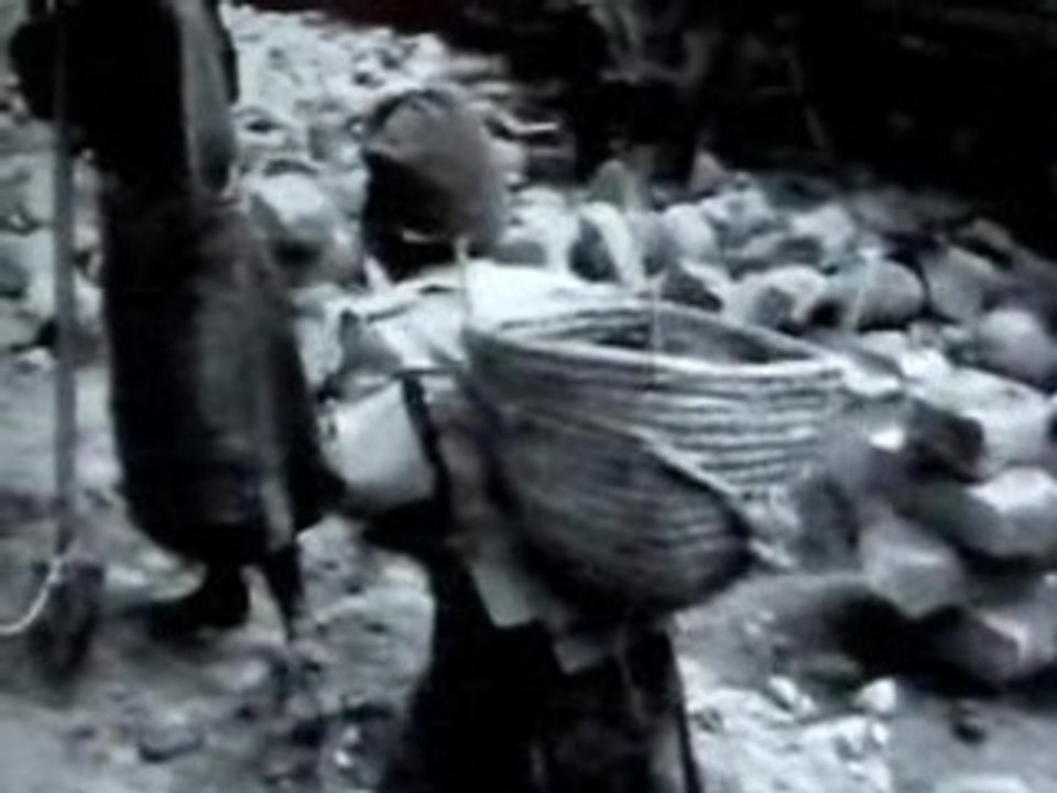 "Voices in Exile"  DVD trailer