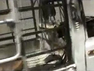 فري برس   حمص إحدا القزائف العشوائية في وادي العرب 19 1 2012