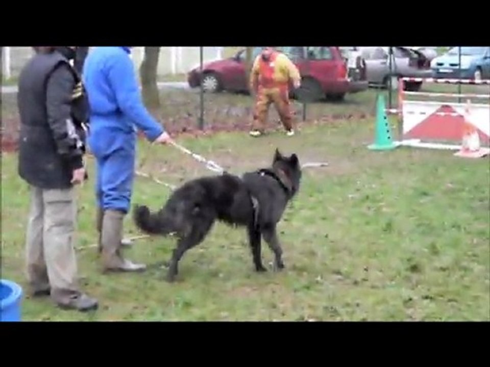 entrainement 21.01.2012