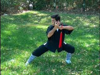 Choy Lee Fut Part 1 of 12 Full Movie