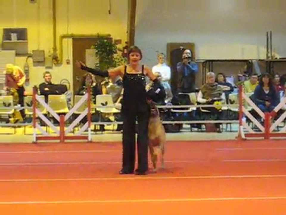 Arlette et Ginger au GPF 2011 à Compiègne (FR)