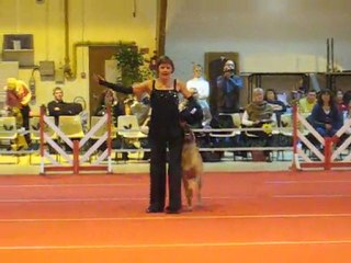 Arlette et Ginger au GPF 2011 à Compiègne (FR)