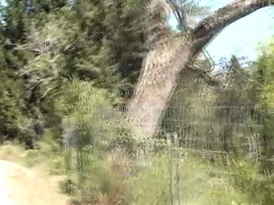 Παξοί: Εκεί που η Φύση "υπέταξε" τον ΄Άνθρωπο