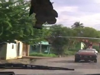 une petite viree en 4x4 ds la pampa venezuelienne ..