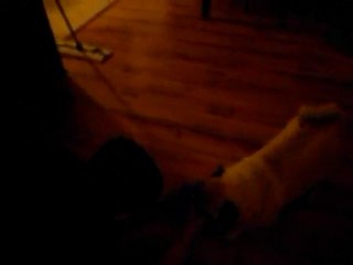 Ozzie vs. Socked Hands