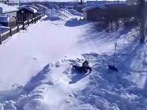 gocanada 20120121 Cha @ phil's mountain