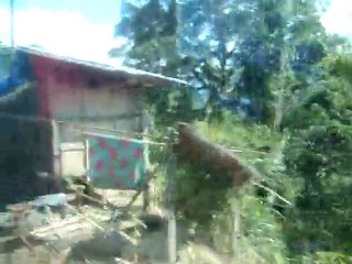 Luang Prabang le 8.1.12