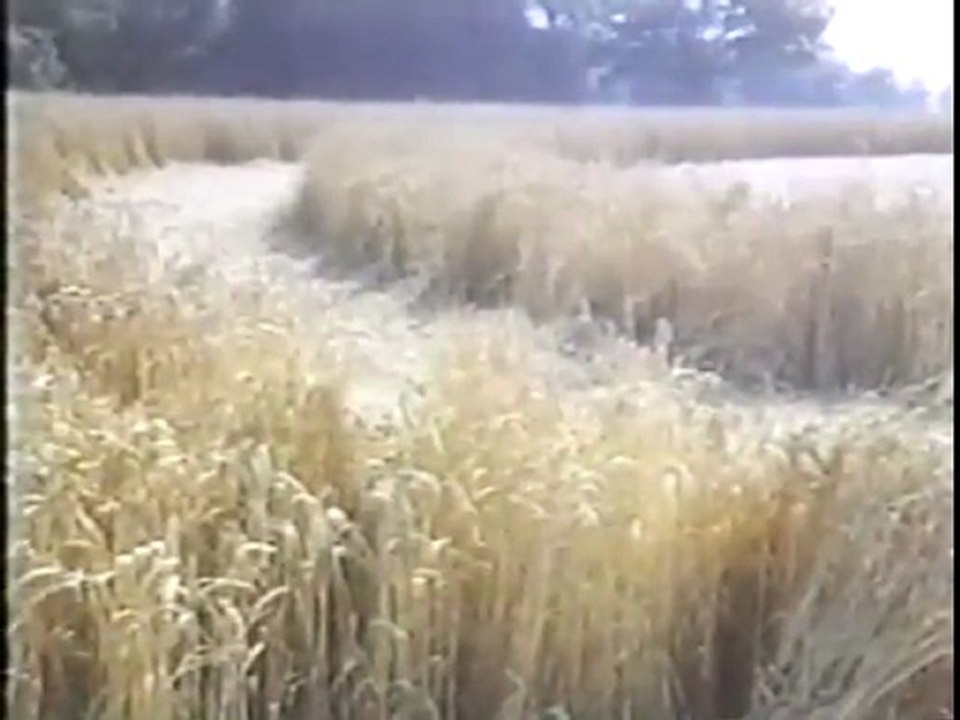 etude Australienne interessante sur les crops Ovni Ufo 1994