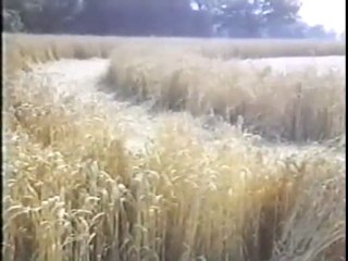 etude Australienne interessante sur les crops Ovni Ufo 1994