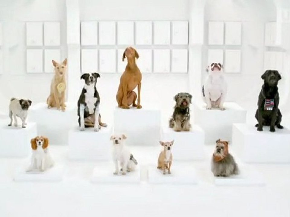 Superbowl Star Wars, Teil 2