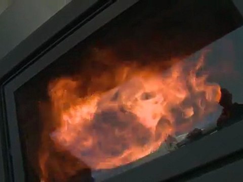 Salon Bois Energie - Poêles en fonctionnement