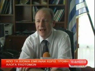 Από τα χιόνια έμειναν χωρίς τροφή άλογα υλοτόμων