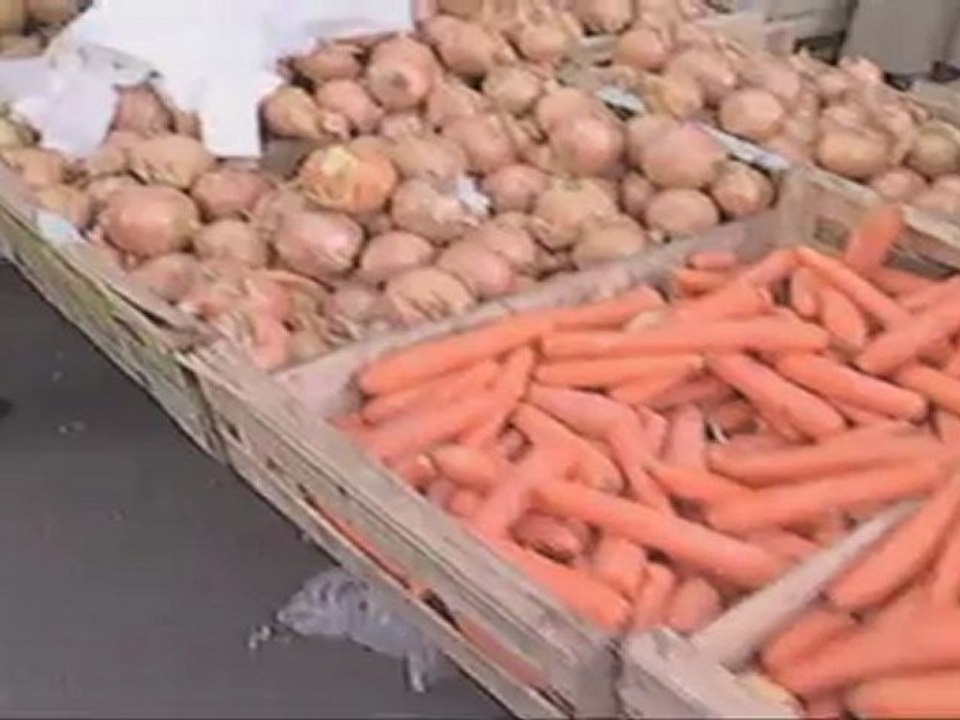 MARAÎCHER - MARCHÉ DES CAPUCINS BORDEAUX