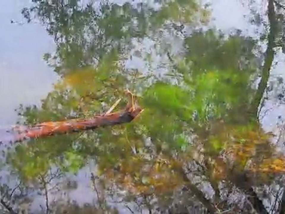 LacRefletHd