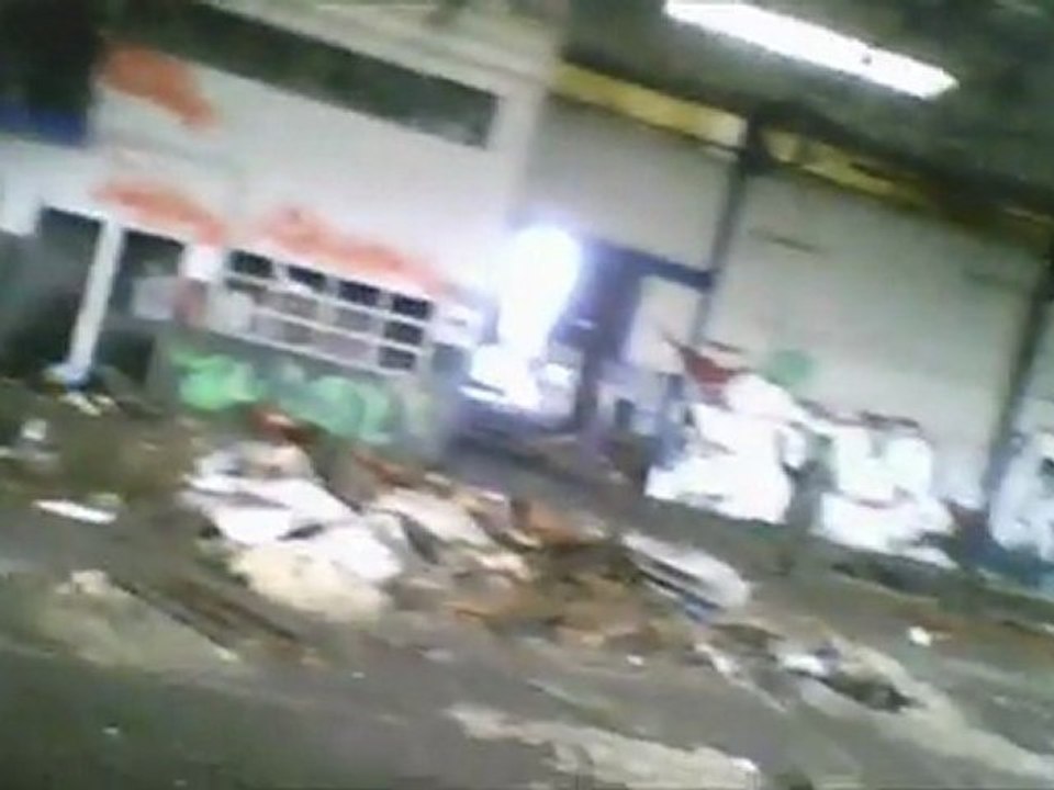 segusiaves