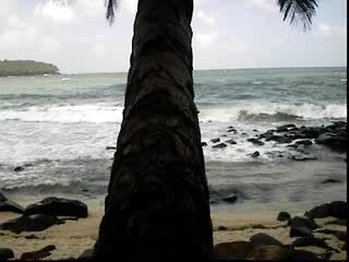 Ma première plage en Guyane