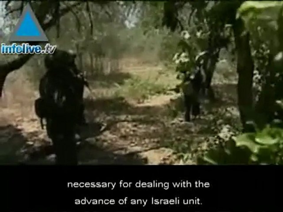Hezbollah, a year later