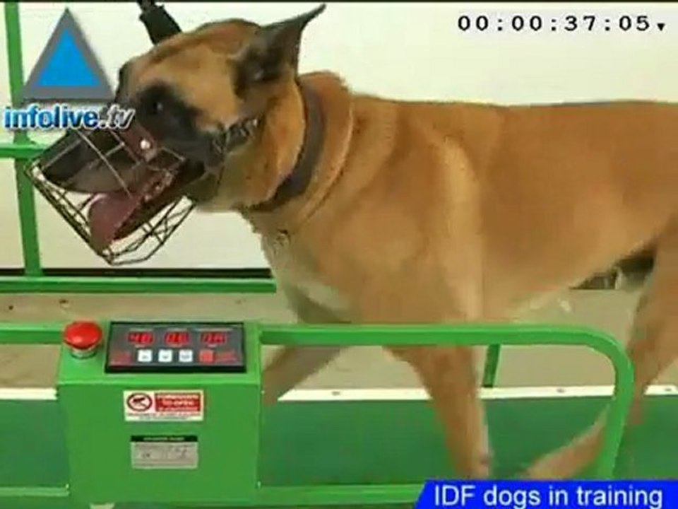 Five Minutes on Infolive.tv