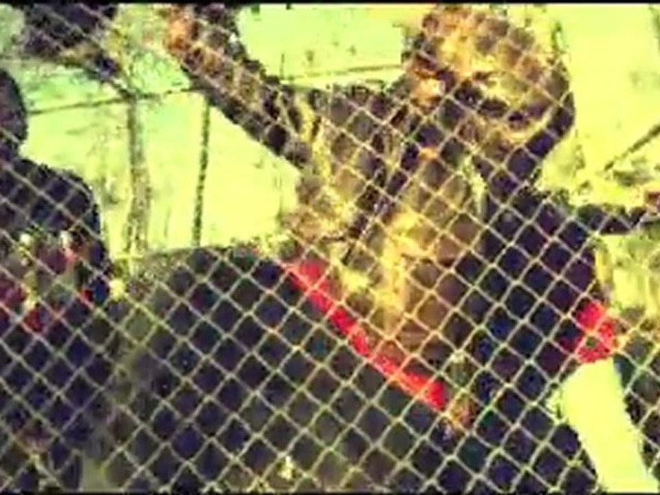 Karna Zoo - Symphonie Meurtrière - www.KarnaZoo.com