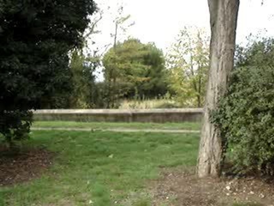 MOV00548