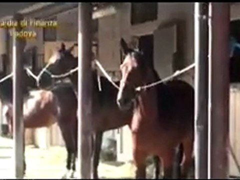 Padova - Evasione fiscale. operazione della Gdf