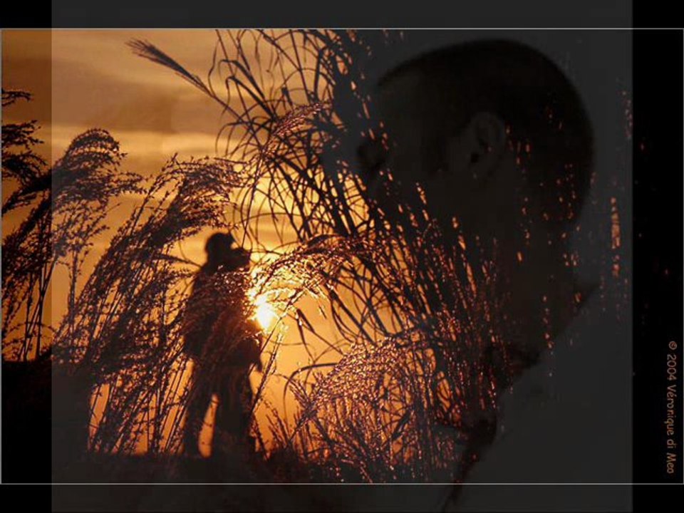 to be loved  cover::: tradd