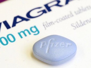 Viagra Boosts Plants, Too