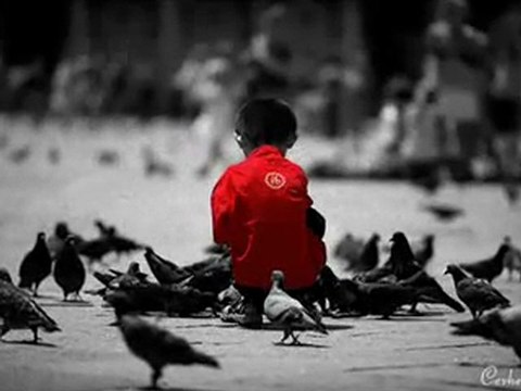 NİLÜFER ( Unut Gitsin )