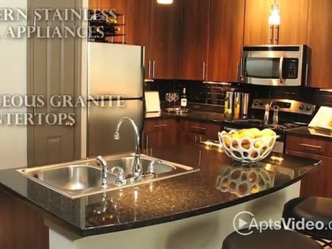 The Lofts Perimeter Center Apartments in Atlanta, GA - ...