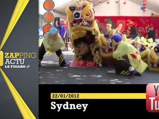 Les milles feux du nouvel an chinois 2012