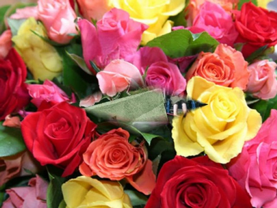 Ma petite maman chérie