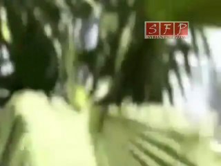 دخان يتصاعد من حي المخيم الفلسطسني في حماة 5-7-2011