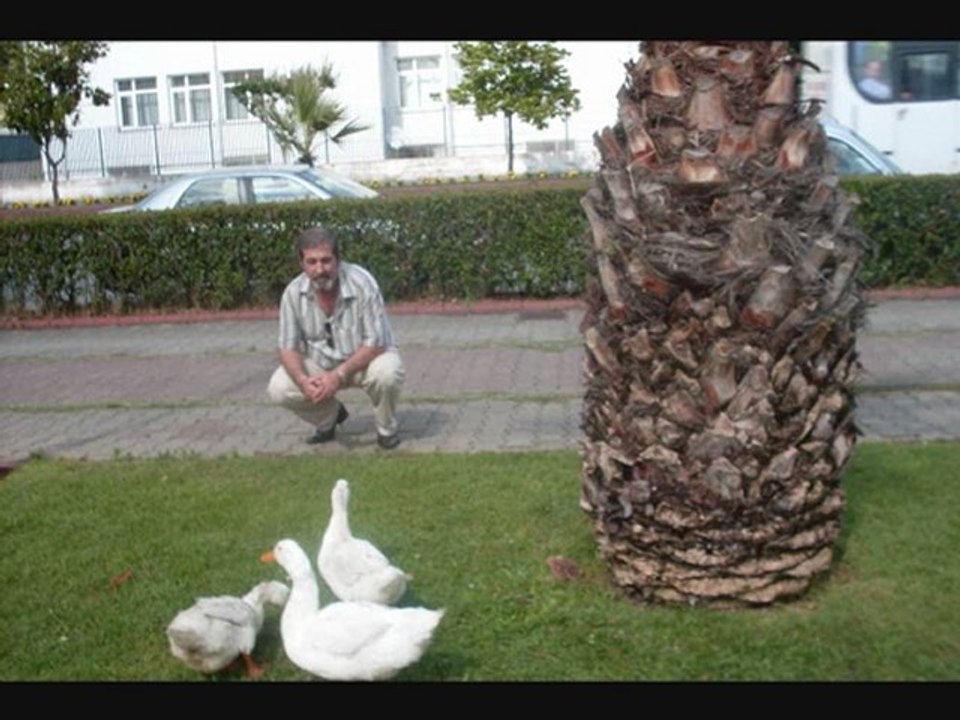 SİNAN ÖZEN-YALVARAYIMMI.-MEHMET YILDIZ/23/01/2012