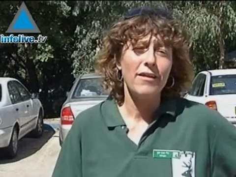 Monkey Business In Vogue As Dentist Takes On Cavities Of Jer