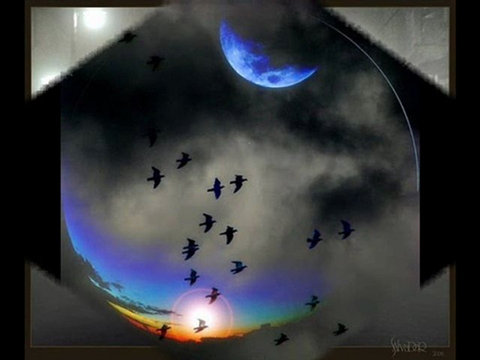 DÖN YURDUNA-OSMAN ÖZTUNÇ