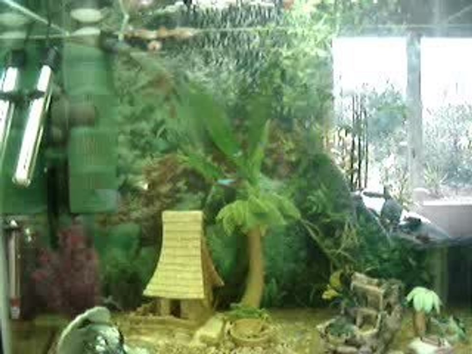 Aquarium