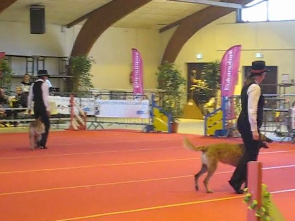 Doggy Dance Arlette et Mégane GPF 2011