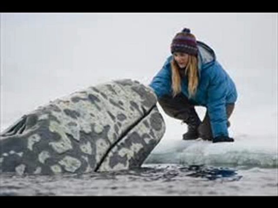 Big Miracle 2012 Part 1 of 12 Full Movie