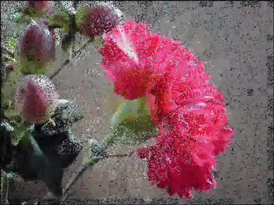 GEREK YOK-ARİF NAZIM