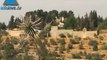 Infolive.tv Minute - a paradise in Jerusalem